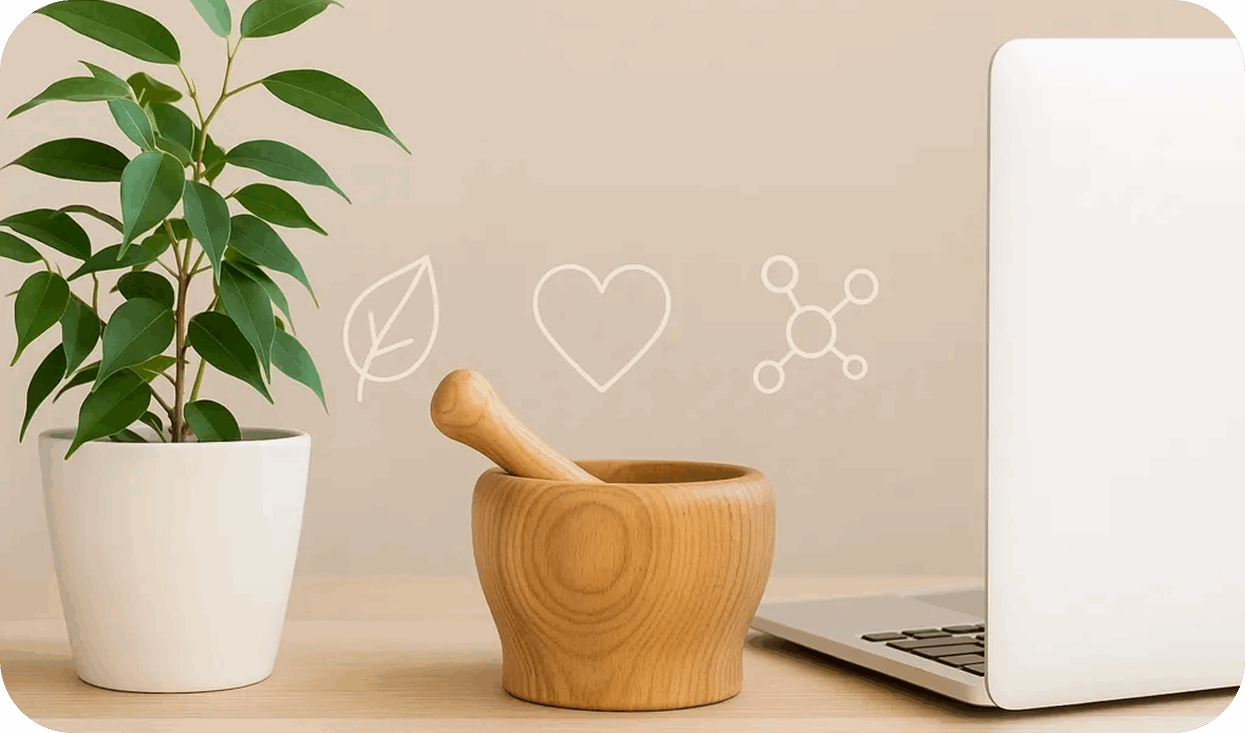 Plant, mortar, and laptop on desk.